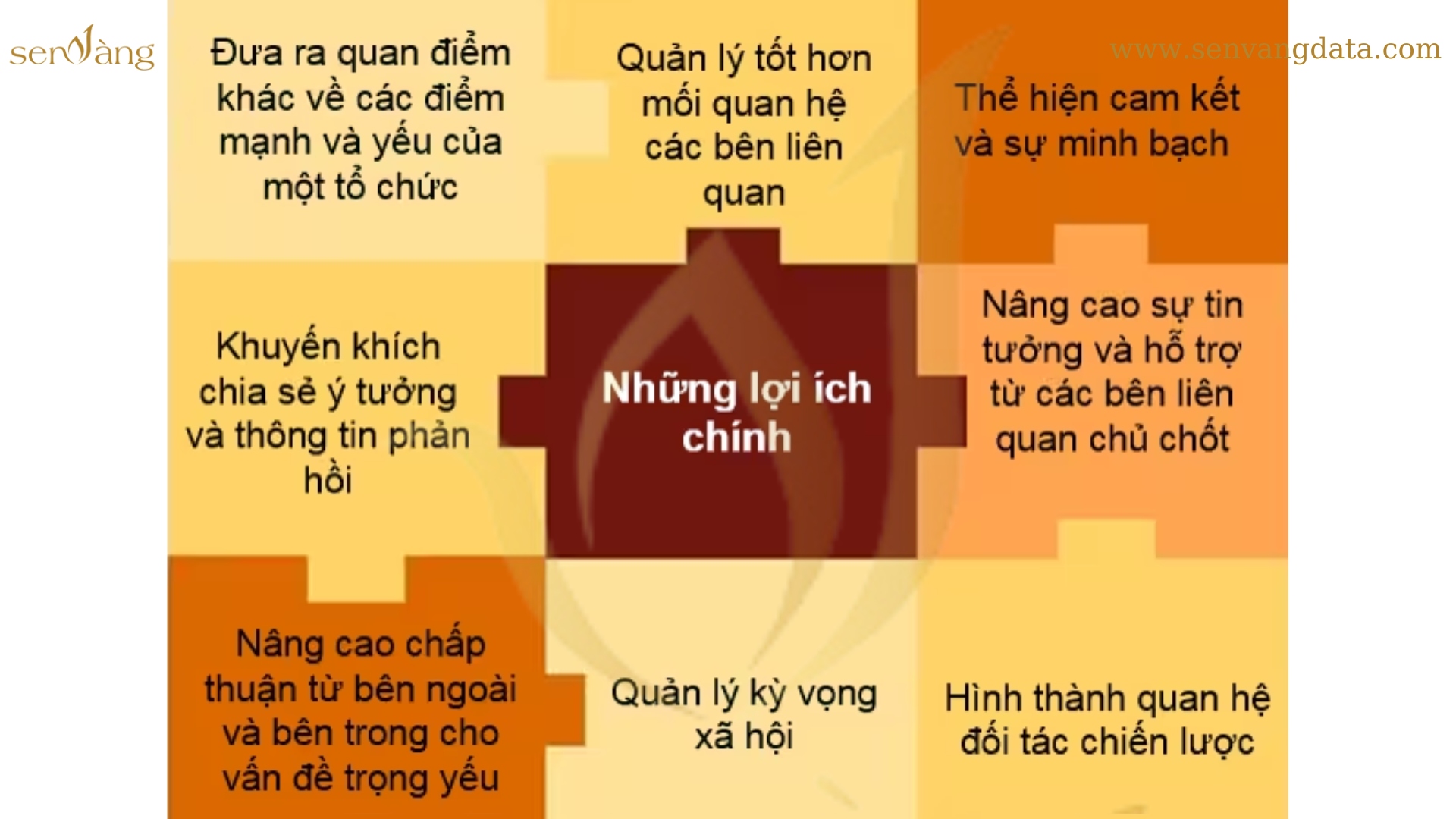 Dịch vụ báo cáo phát triển bền vững và dịch vụ bảo đảm mang lại lợi ích lớn cho tổ chức. Nguồn: Sen Vàng tổng hợp
