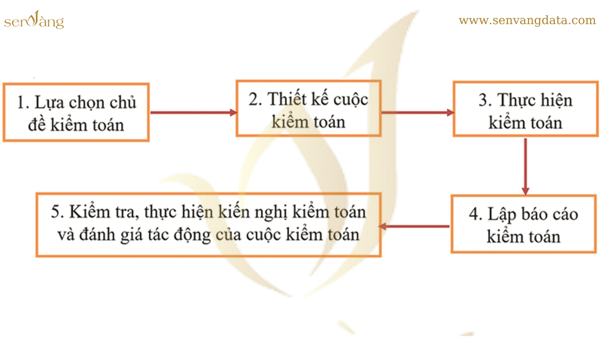 5 nguyên tắc trong kiểm toán các mục tiêu phát triển bền vững. Nguồn: Sen Vàng tổng hợp
