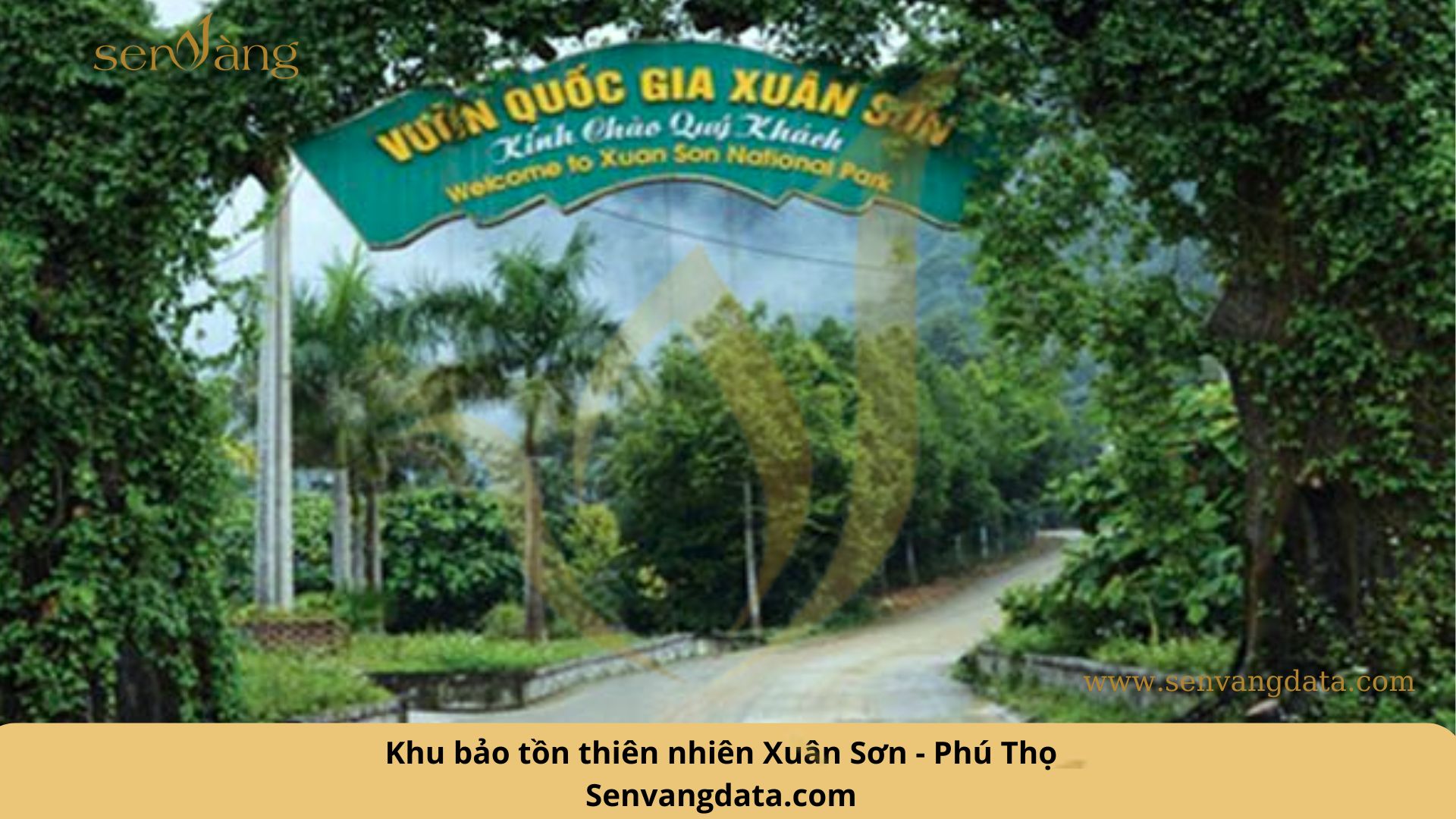 Khu bảo tồn thiên nhiên Xuân Sơn - Phú Thọ. Nguồn: Sen Vàng tổng hợp