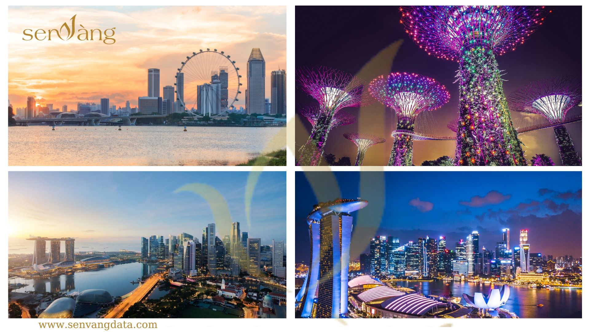 Kinh tế đêm tại Singapore. Nguồn: Sen Vàng tổng hợp.