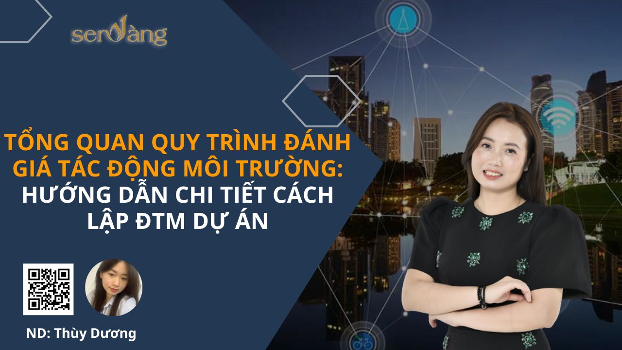 Tổng quan quy trình đánh giá tác động môi trường: Hướng dẫn chi tiết cách lập ĐTM dự án