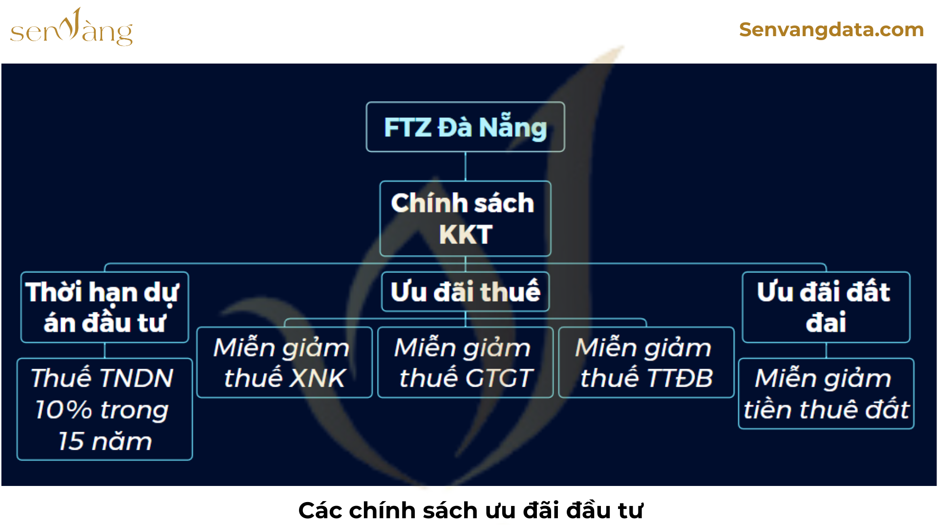 Nguồn: Sen Vàng tổng hợp