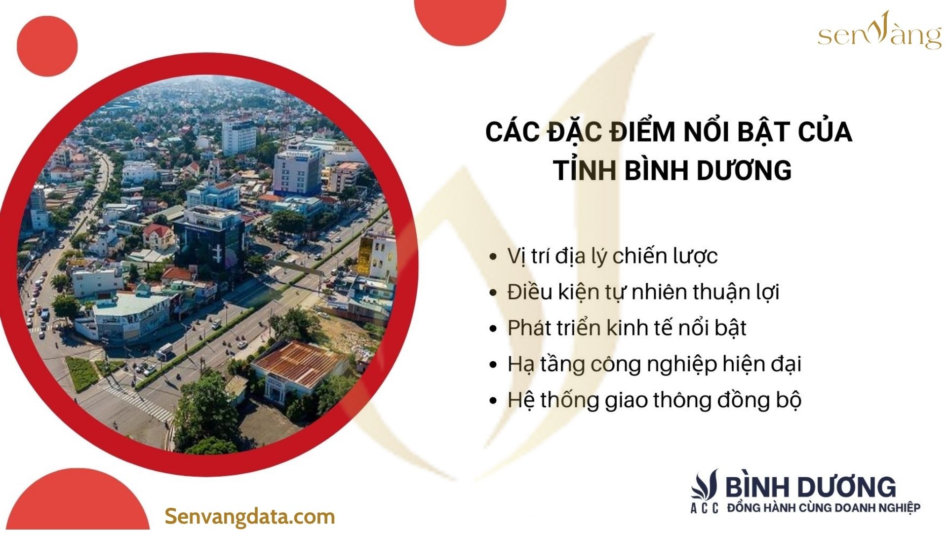 Các đặc điểm kinh tế nổi bật tỉnh Hải Dương. Nguồn: Sen Vàng tổng hợp