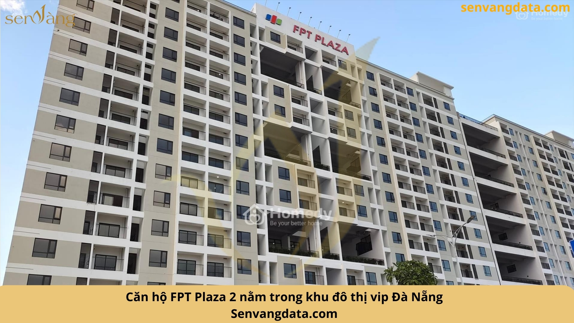 Nguồn: Sen Vàng tổng hợp