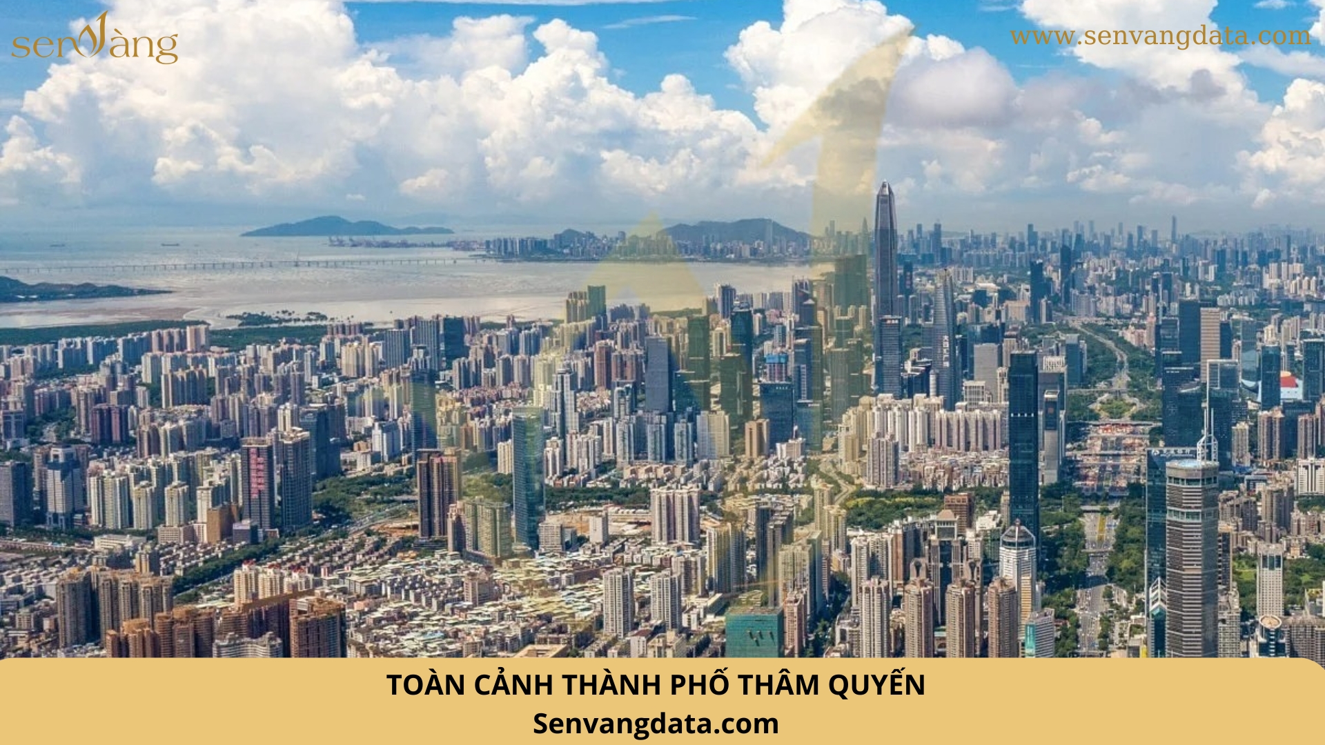 Toàn cảnh thành phố Thâm Quyến. Nguồn: Sen Vàng tổng hợp