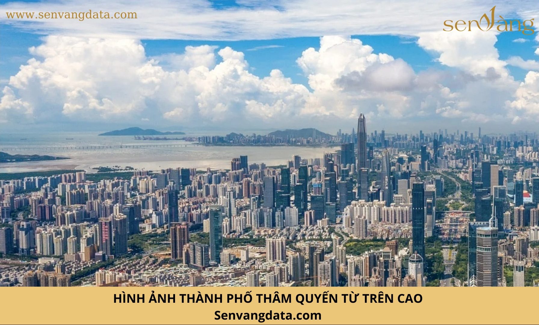 Hình ảnh thành phố Thâm Quyến từ trên cao. Nguồn: Sen Vàng tổng hợp