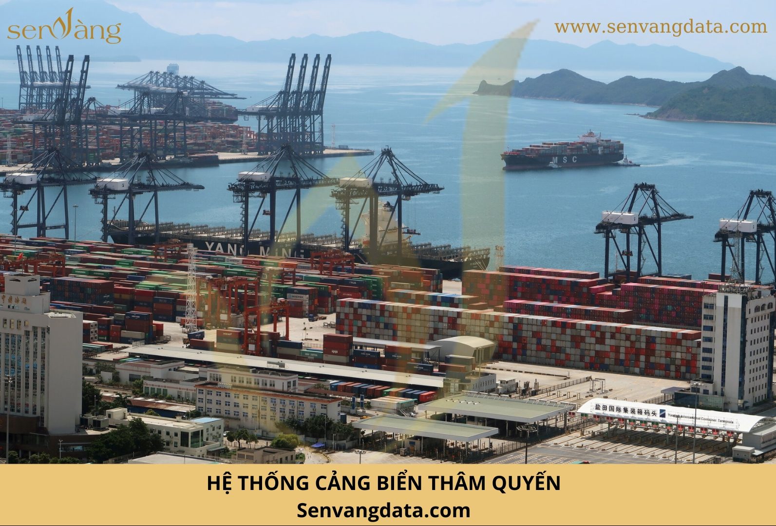 Hệ thống cảng biển Thâm Quyến. Nguồn: Sen Vàng tổng hợp