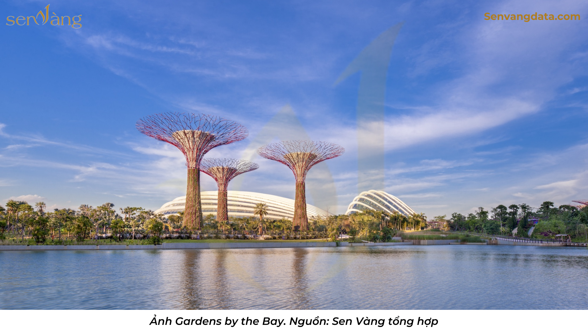 case singapore