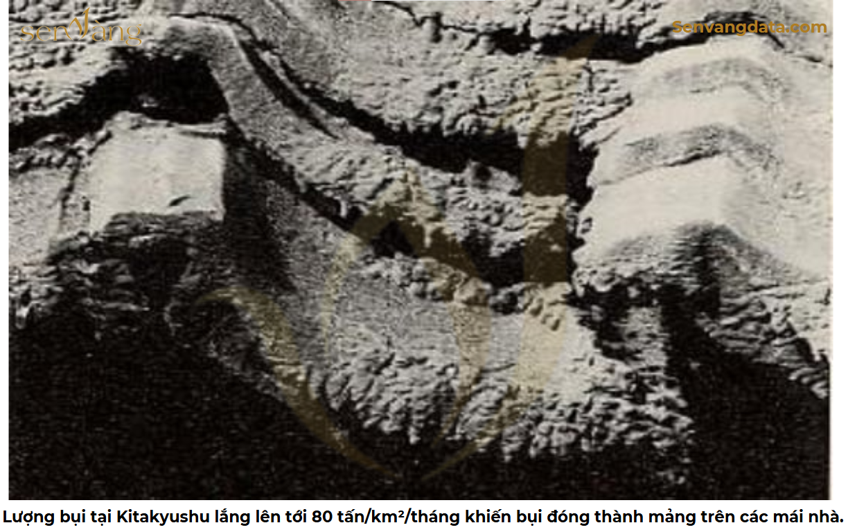 Di sản – Bảo tồn và Ứng dụng trong Phát triển Bất động sản tại Bắc Ninh – Bắc Giang sau Sáp nhập