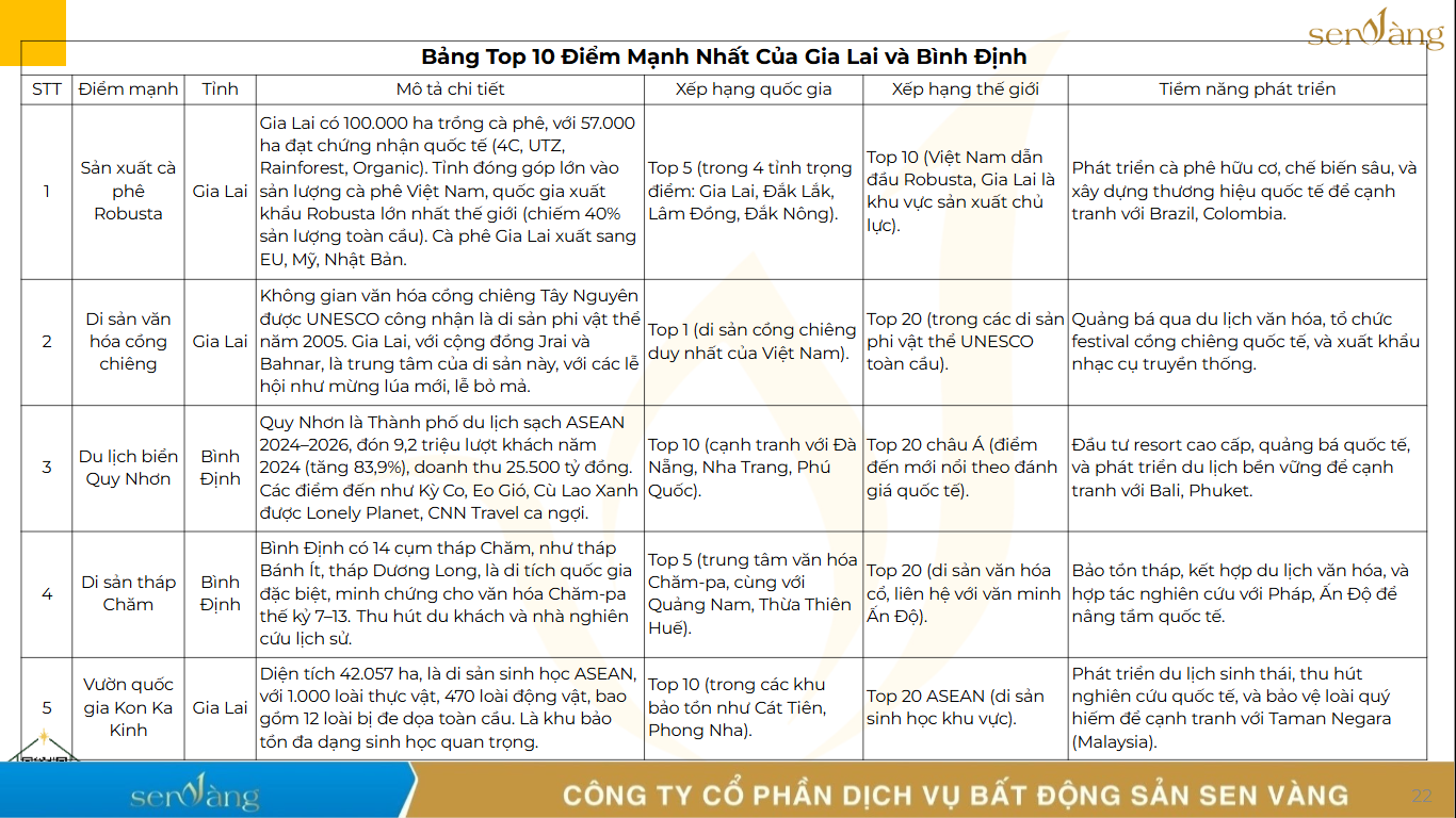 Sáp nhập Gia Lai – Bình Định: Trục Phát Triển Cao Nguyên – Duyên Hải Với Công Nghiệp Liên Vùng và Du Lịch Bản Sắc