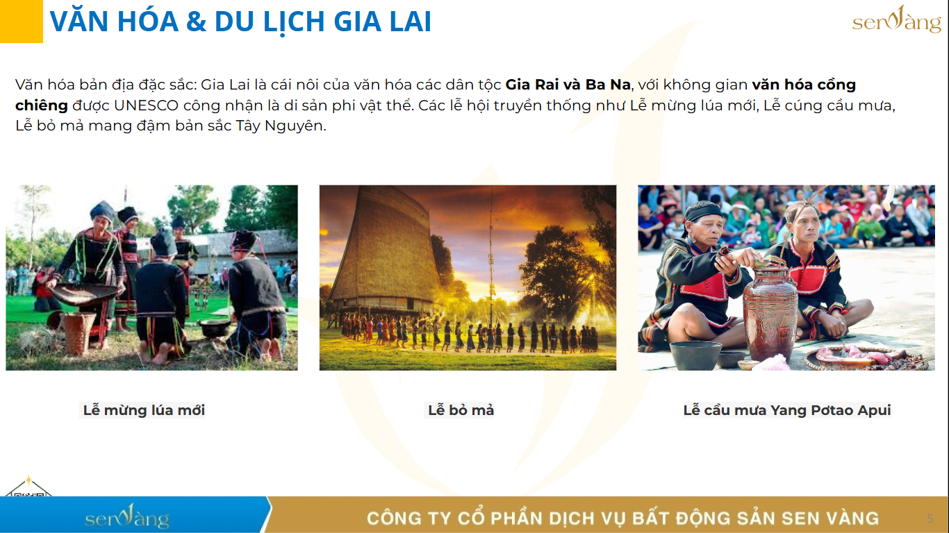 Sáp nhập Gia Lai – Bình Định: Trục Phát Triển Cao Nguyên – Duyên Hải Với Công Nghiệp Liên Vùng và Du Lịch Bản Sắc