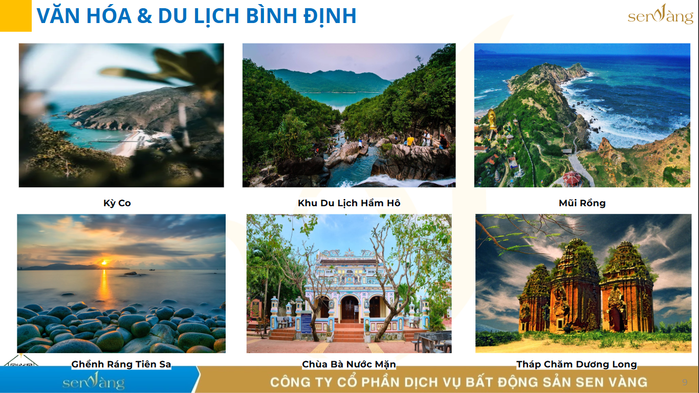 Sáp nhập Gia Lai – Bình Định: Trục Phát Triển Cao Nguyên – Duyên Hải Với Công Nghiệp Liên Vùng và Du Lịch Bản Sắc