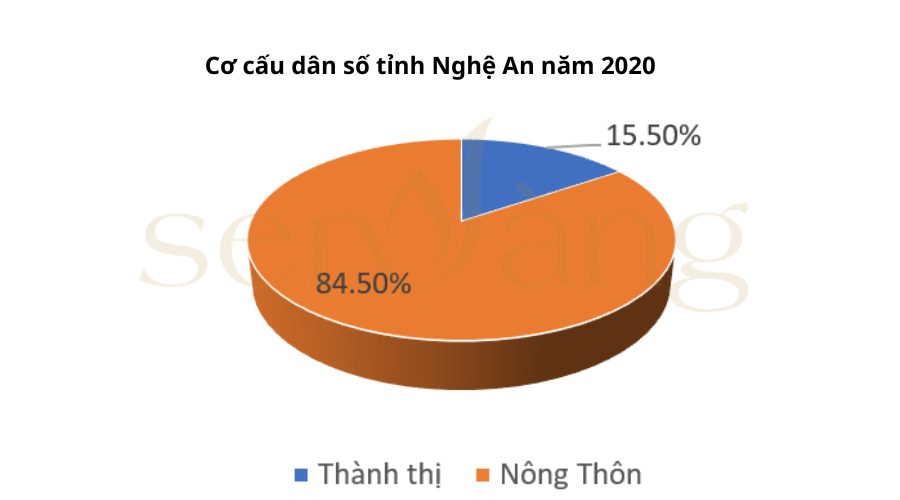 Cơ cấu dân số tỉnh Nghệ An năm 2020 (Nguồn: Sen Vàng tổng hợp)