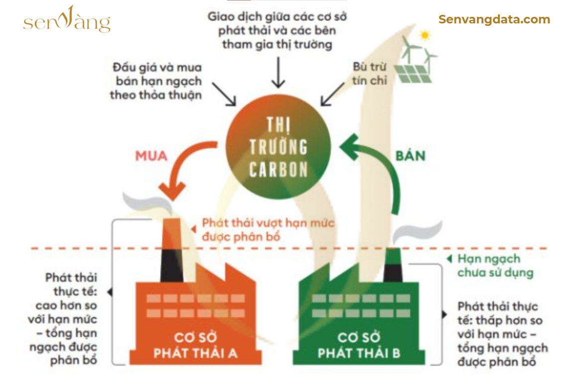 Tín chỉ carbon & bất động sản công nghiệp: Hướng đi chiến lược thời đại phát triển bền vững