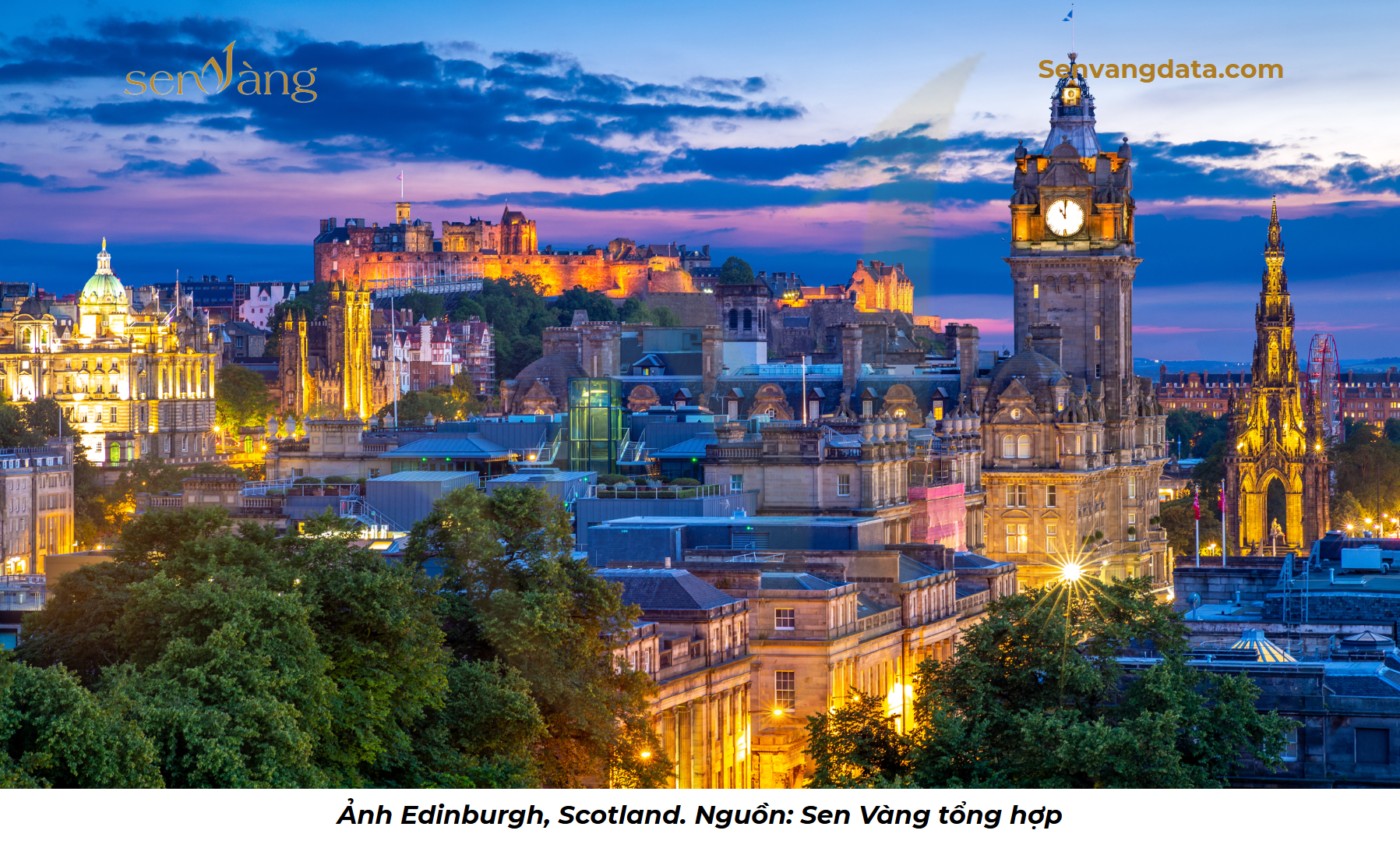 case scotland