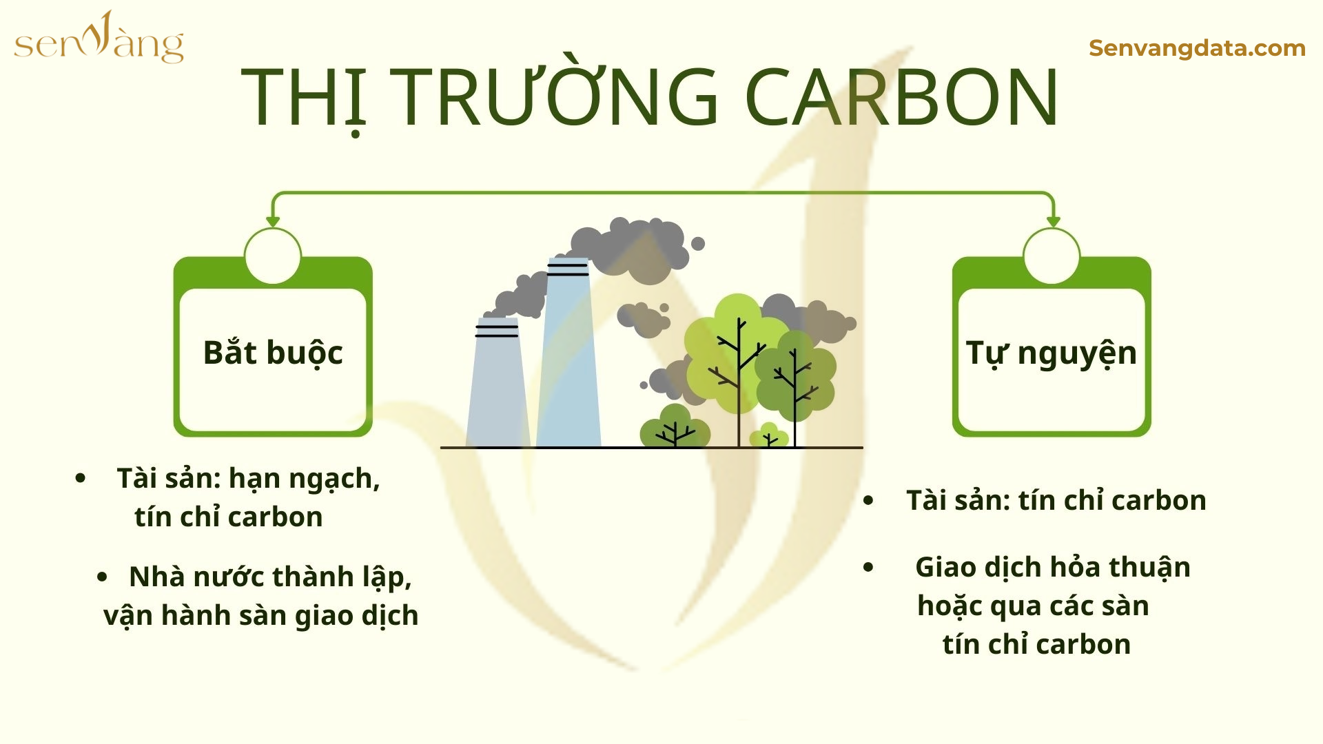 Tín chỉ carbon & bất động sản công nghiệp: Hướng đi chiến lược thời đại phát triển bền vững