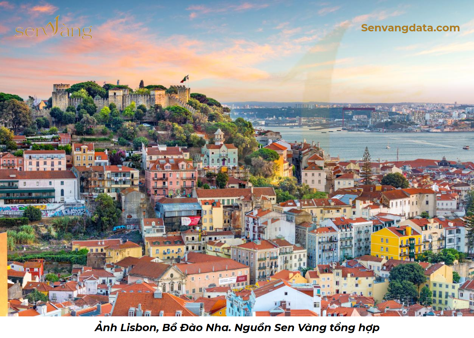 case lisbon
