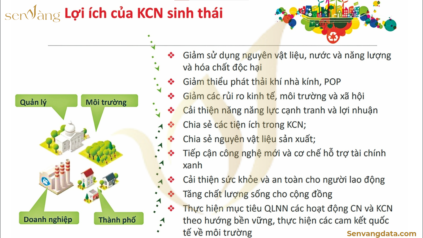 Nguồn: Sen Vàng tổng hợp