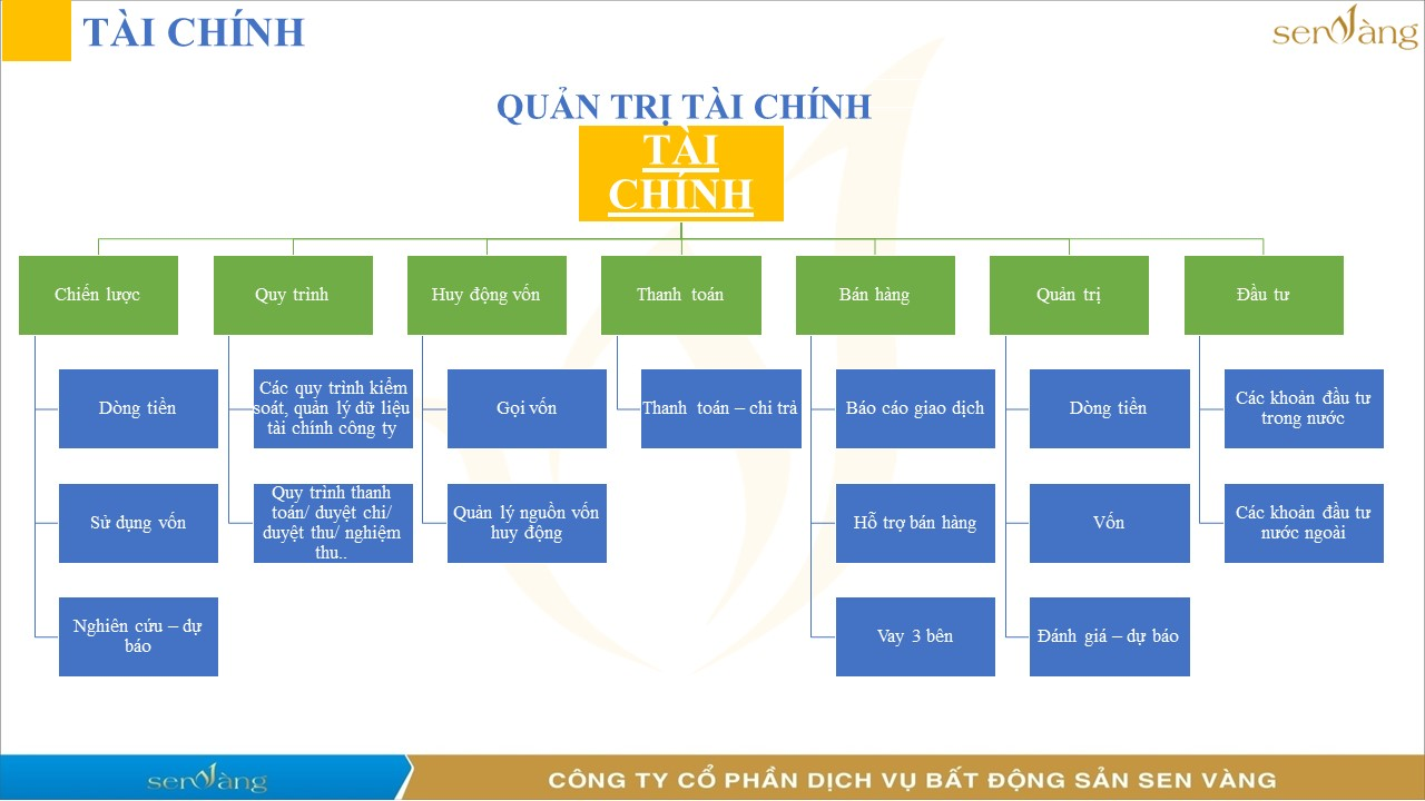 Các bước quản trị tài chính của dự án BĐS. (Nguồn: Senvangdata.com)